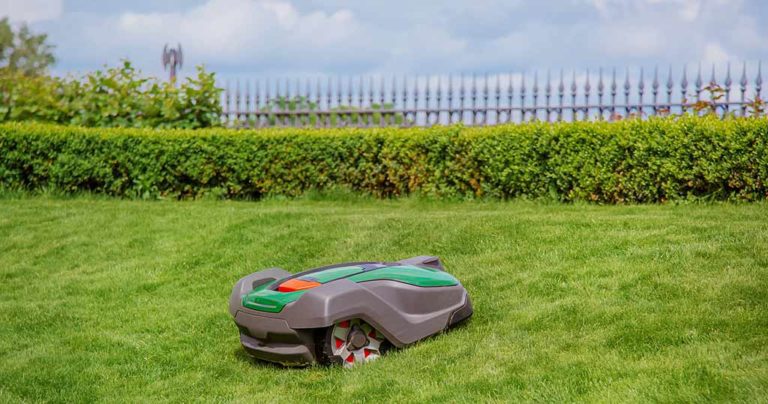 Mähroboter für 2 getrennte Rasenflächen Meine Empfehlungen