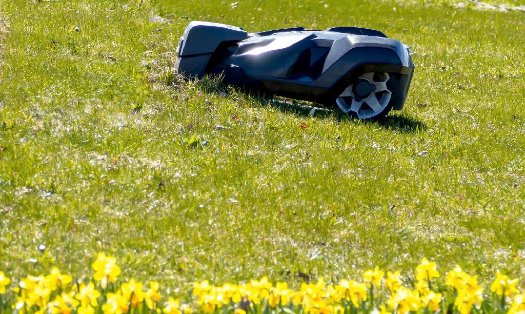 Mähroboter: Ab wann im Frühling starten?