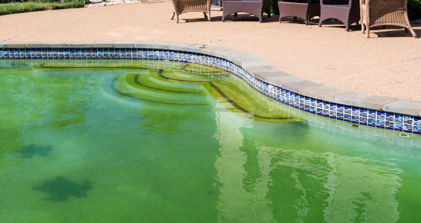 Algen im Pool verhindern